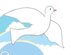 white_dove